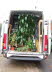 12cu mtr garden 