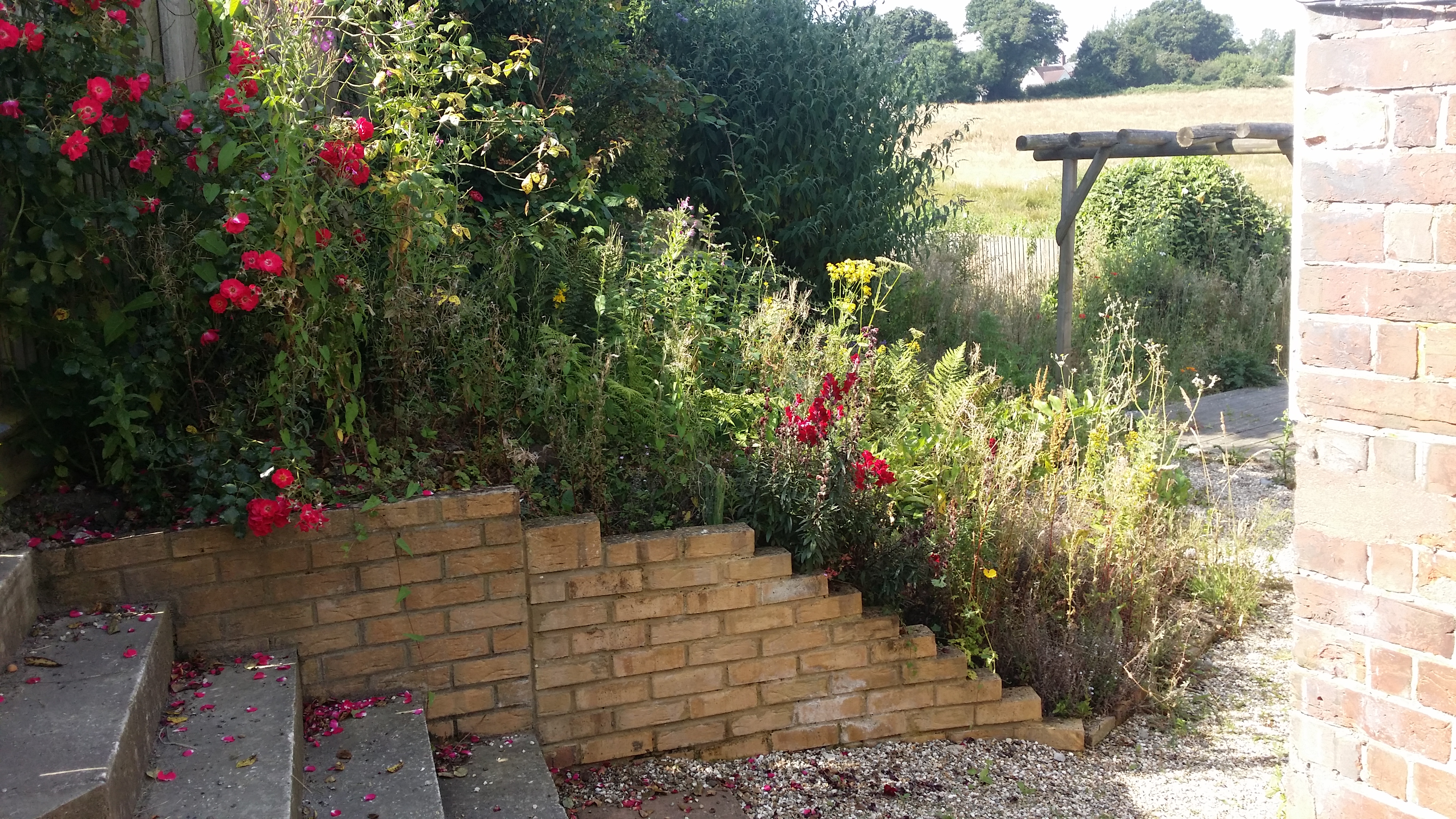 more plant bed than weed bed