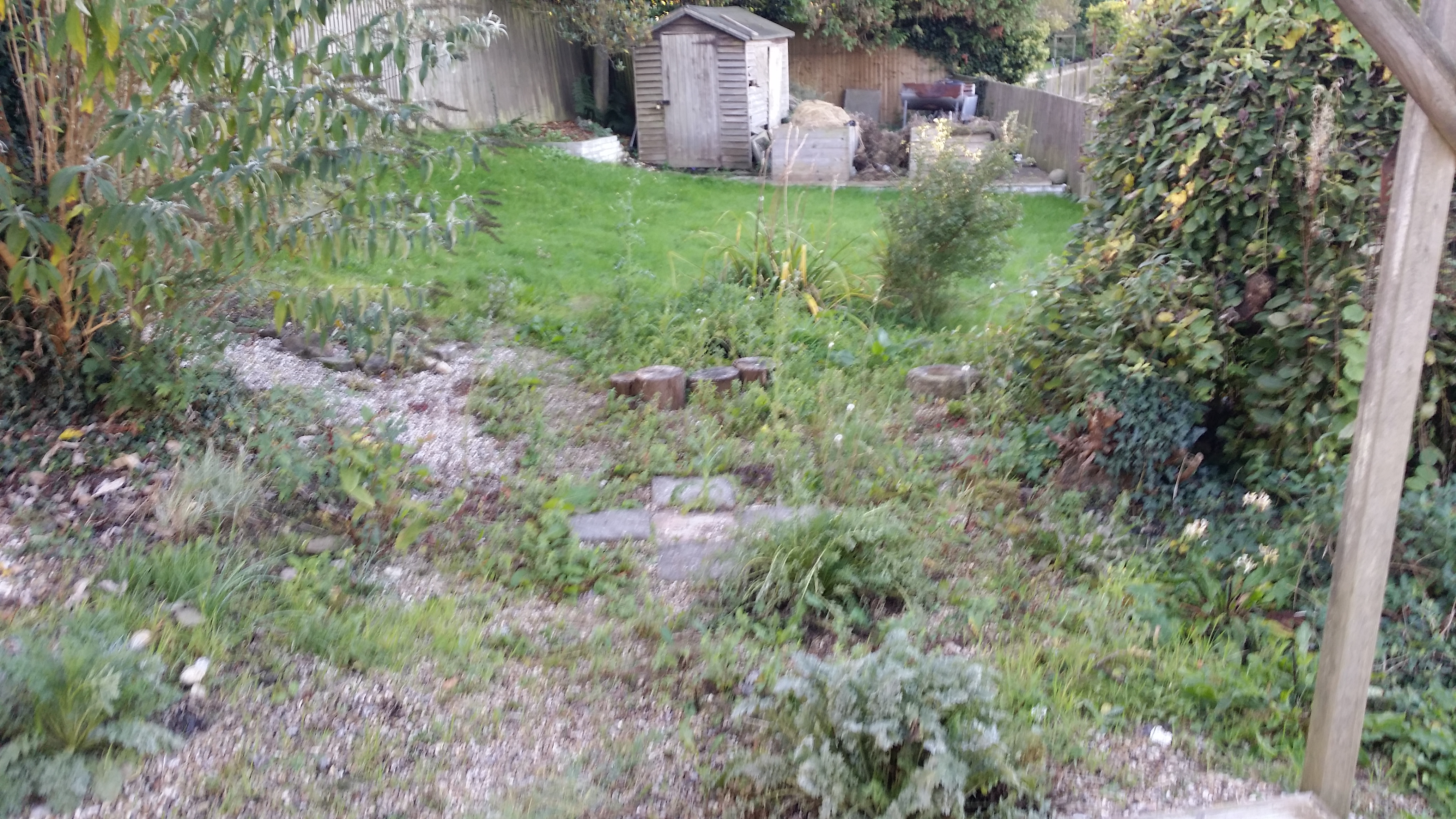 weeding needed2